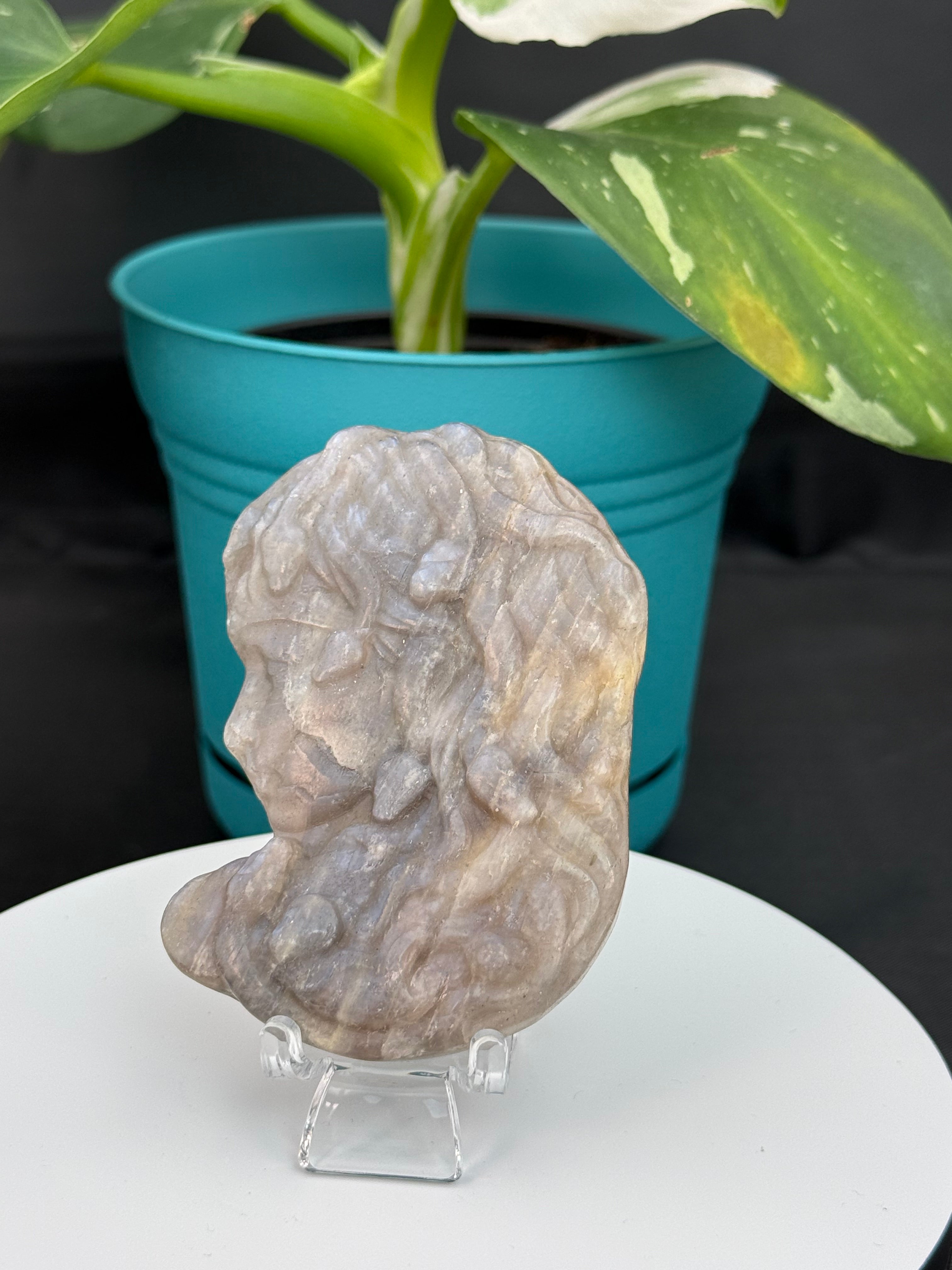 Moonstone Medusa