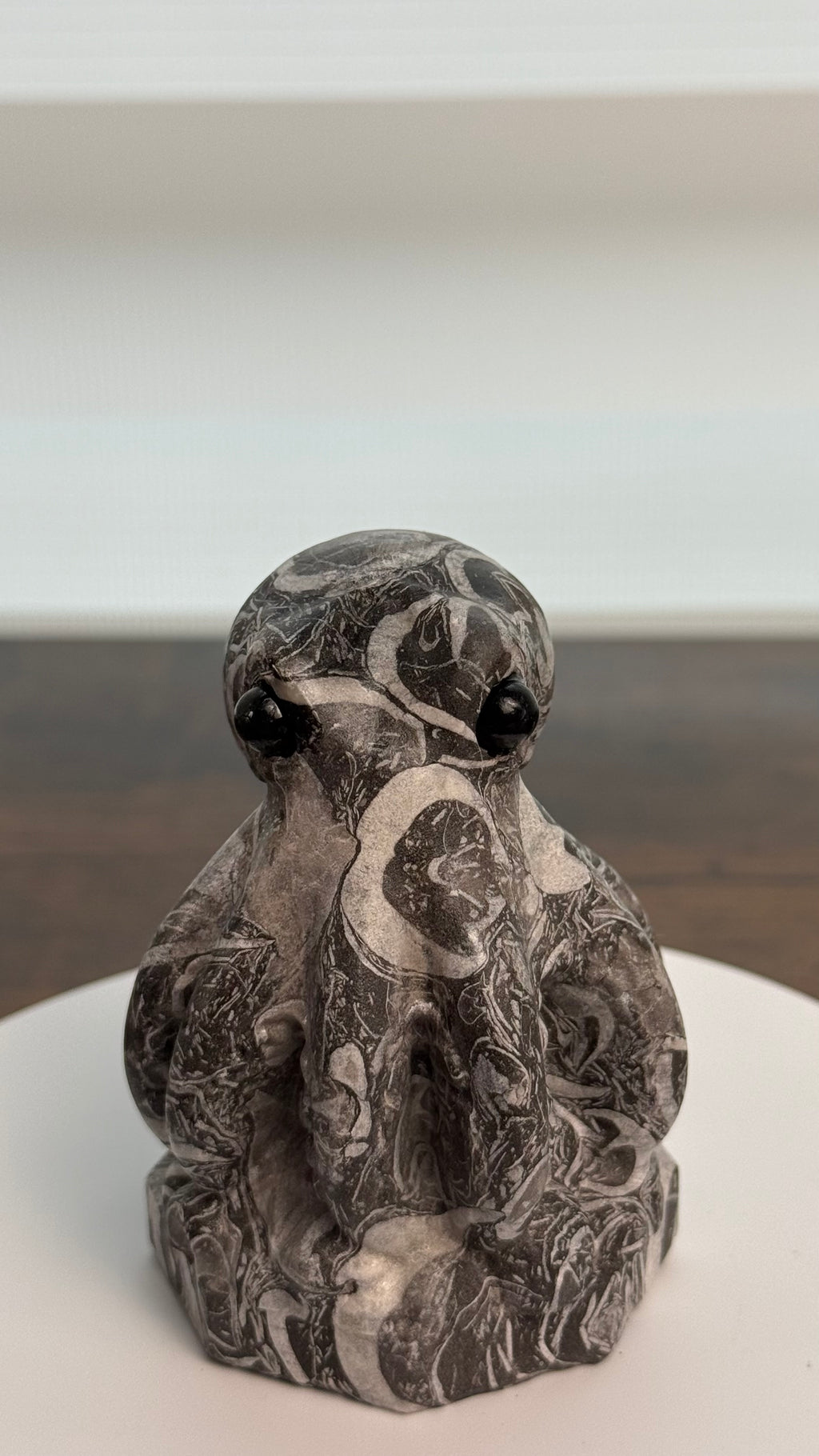 🐙 Cute Picasso Jasper Octopus – $45