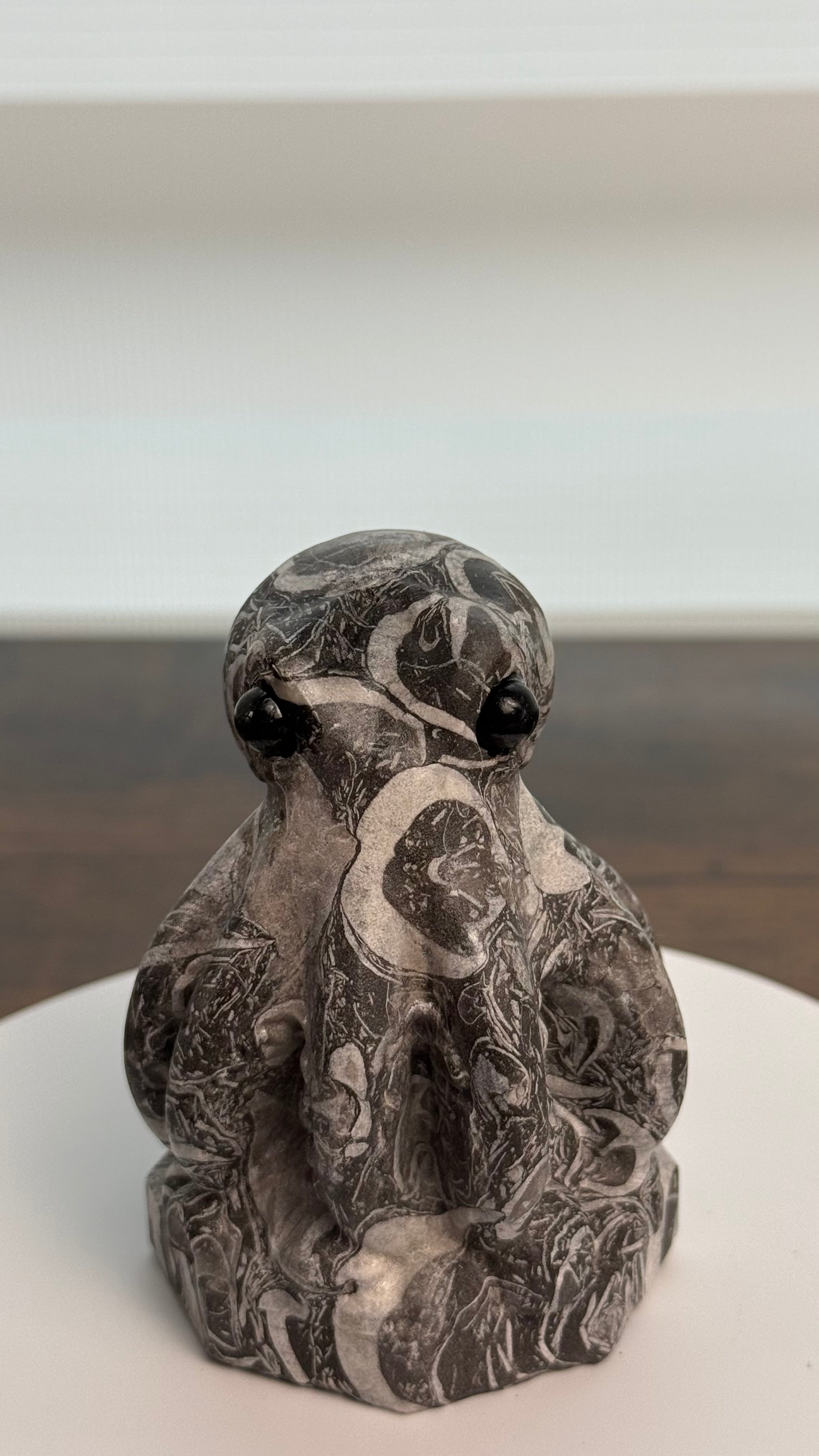 🐙 Cute Picasso Jasper Octopus – $45