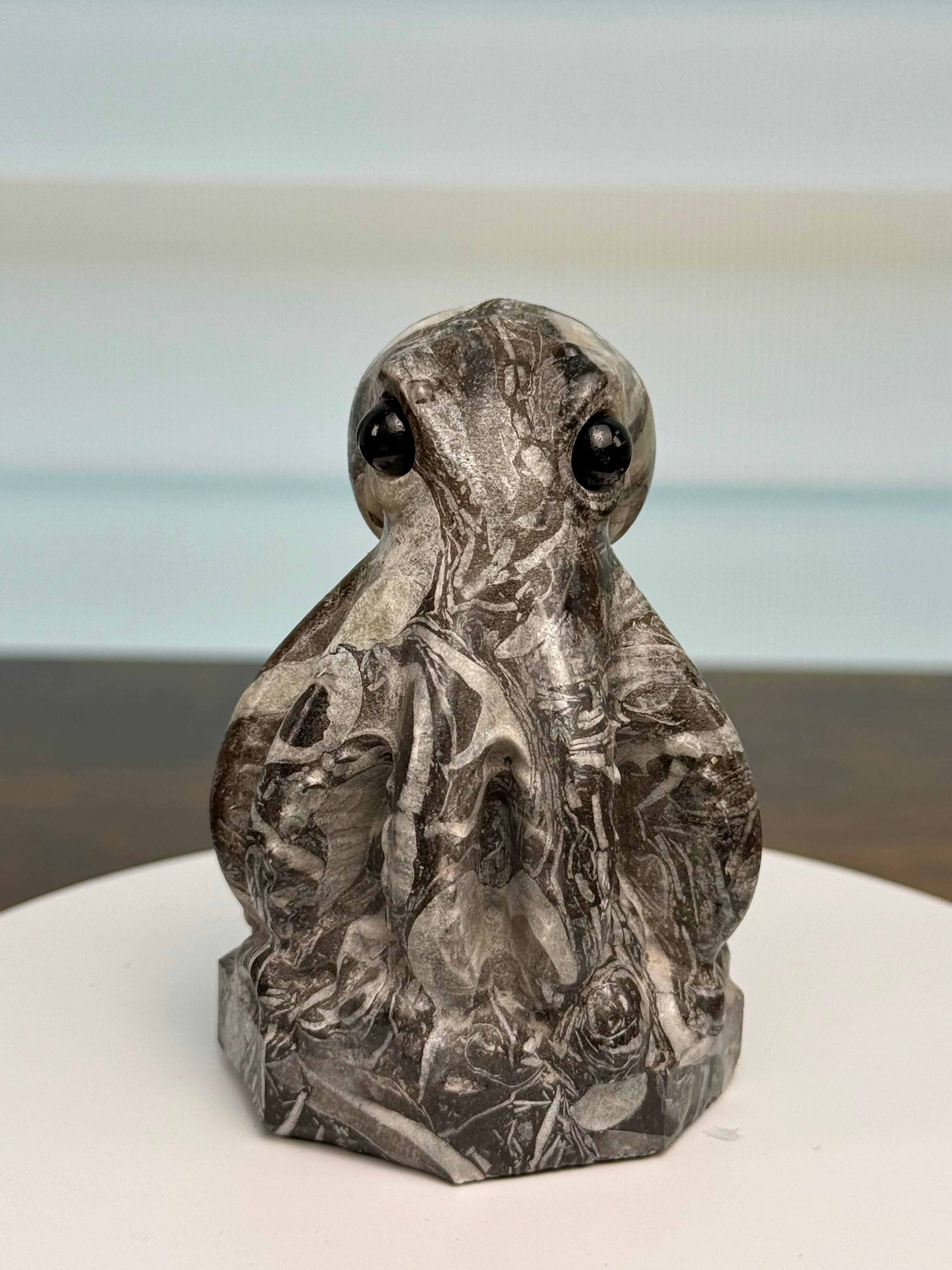 🐙 Adorable Picasso Jasper Octopus – $45