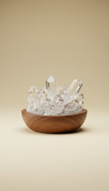 Clear quartz cluster with walnut stand