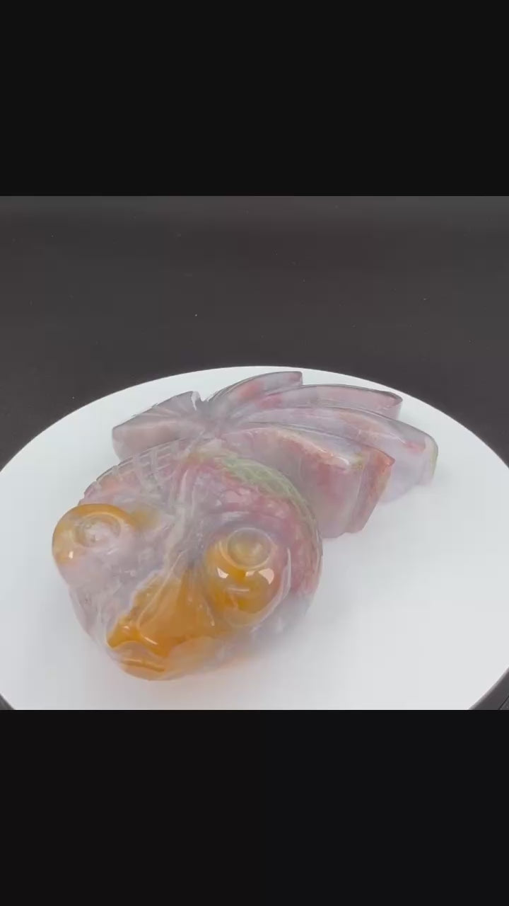 🐠🌊 Ocean Jasper Goldfish – $55 🌊🐠