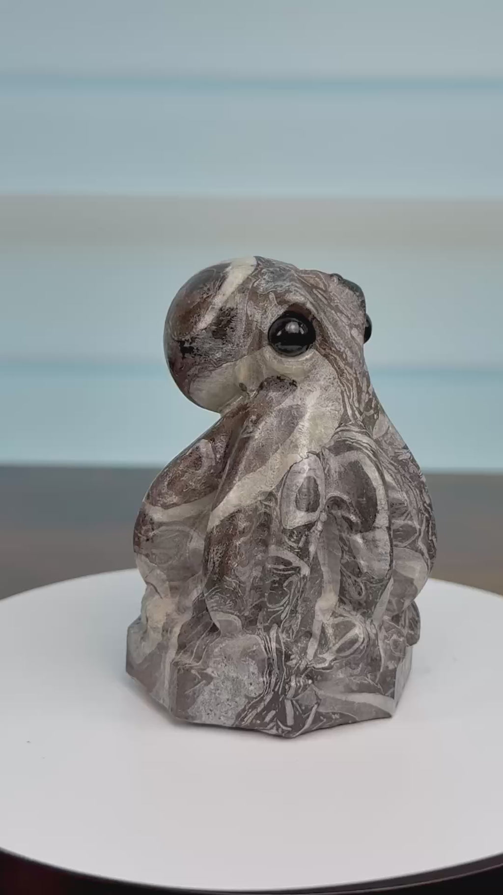 🐙 Adorable Picasso Jasper Octopus – $45