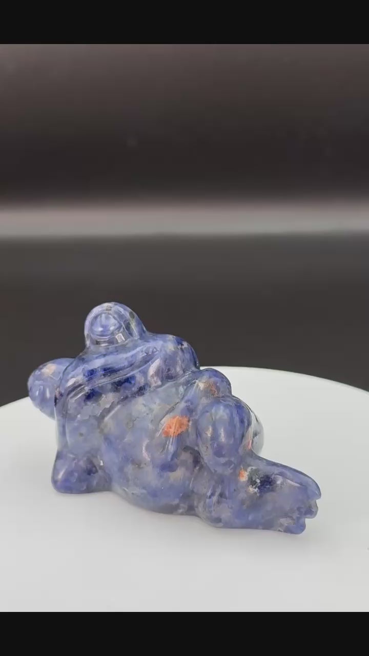 🐸 Cute Sodalite Frog – $25