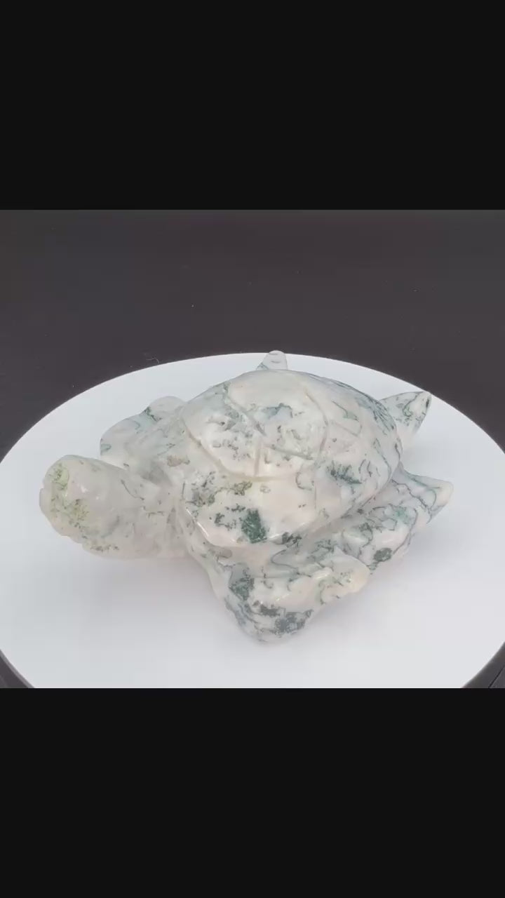 $35 • 🐢 Moss Agate Turtle
