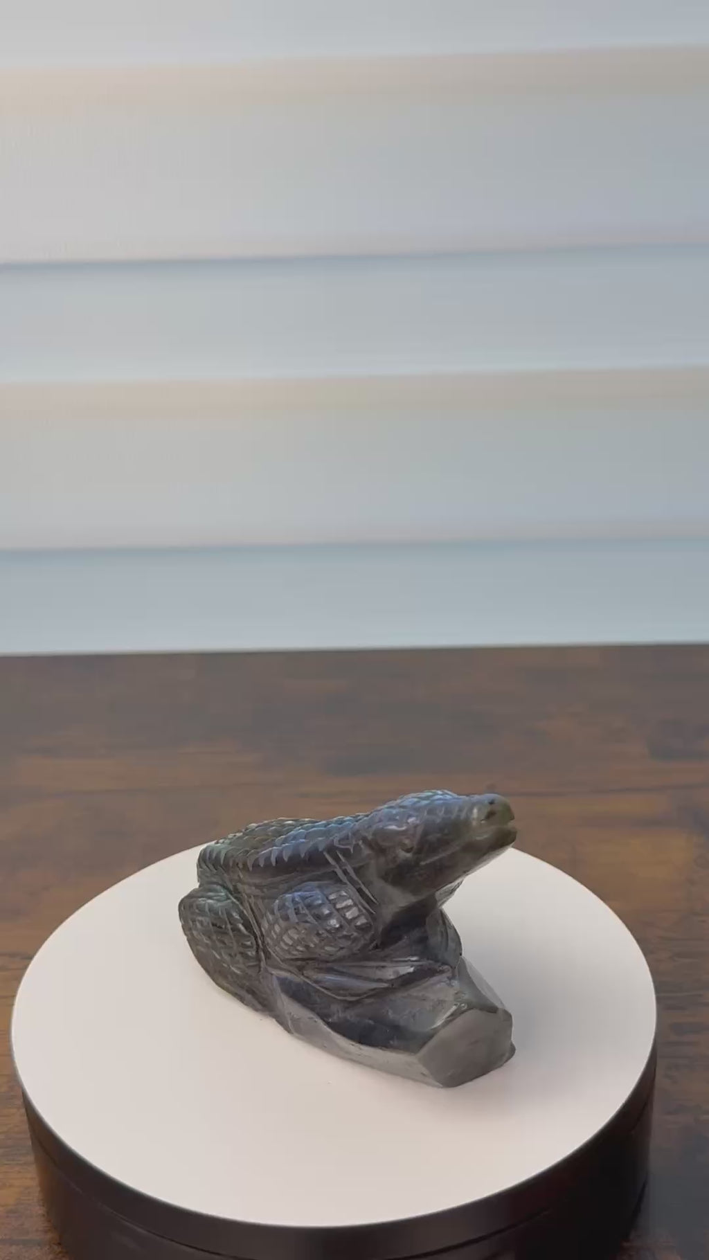 Labradorite Alligator