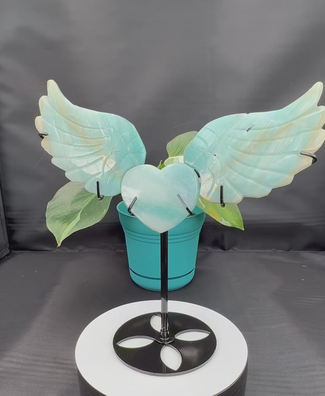 Caribbean Calcite Wings with Heart