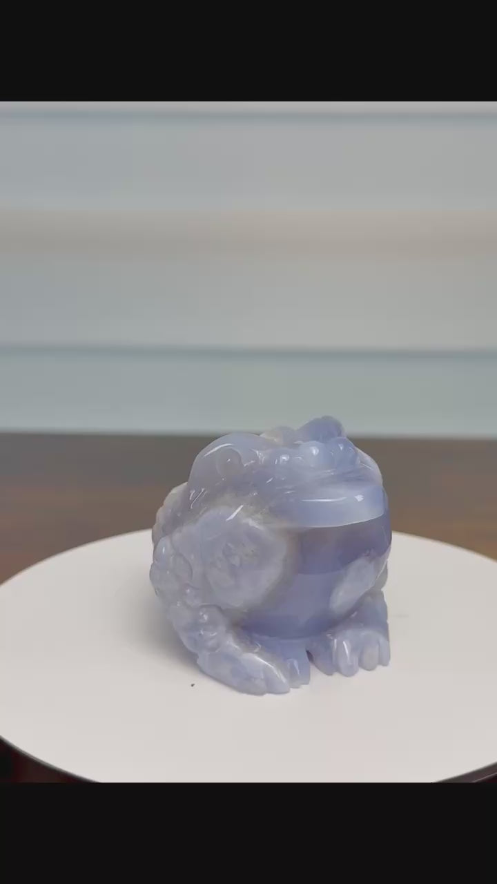 🐸 Blue Lace Agate Jin Chan (Money Frog) – $55