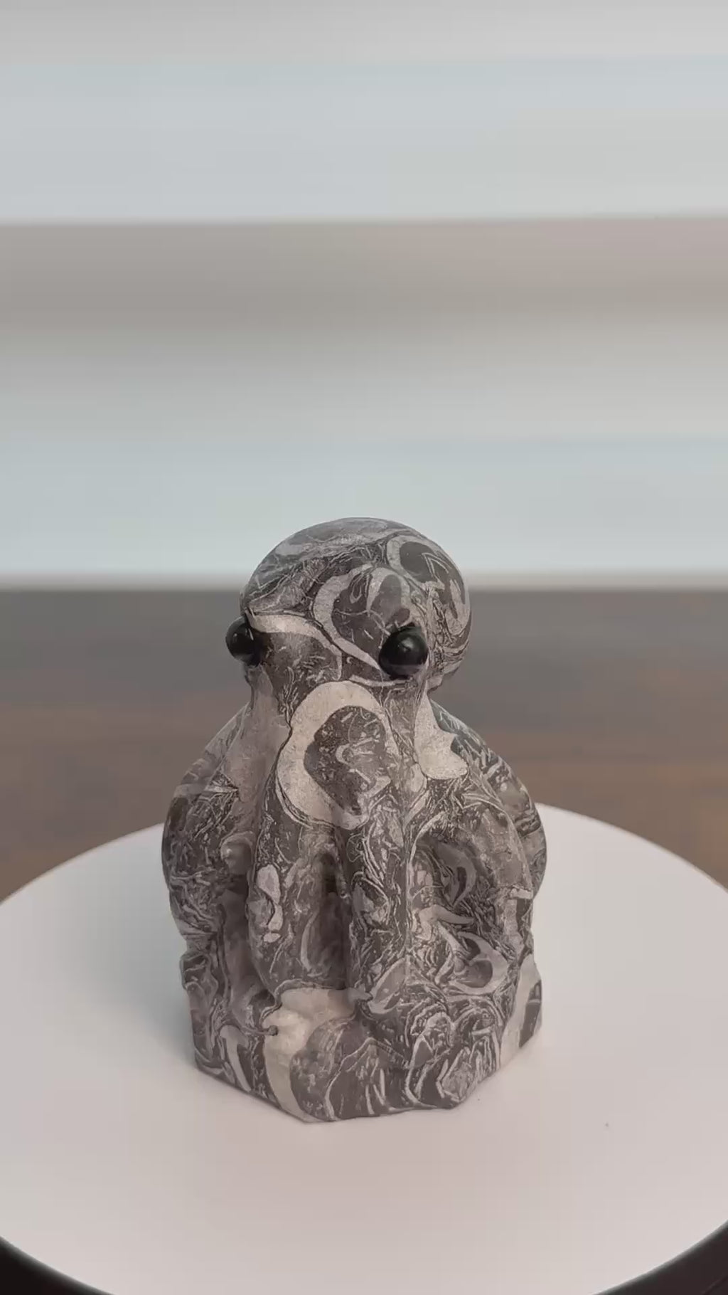 🐙 Cute Picasso Jasper Octopus – $45