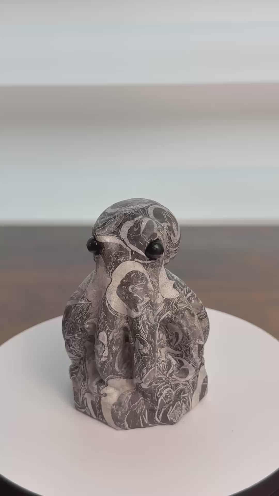 🐙 Cute Picasso Jasper Octopus – $45